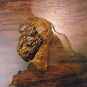 squirting while i shit hd pottyqueen