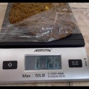 major 3/4 lb. standing shit behind! hd sophia_sprinkle