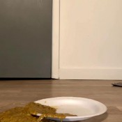 shit cumpilation kejae