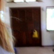 classyngassy back the farmers market