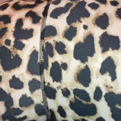 ruby farts all day fart slave ruby stone