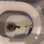 curry poop hd princess cheryl