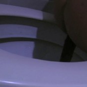 joy angeles january 2016 - shel 1