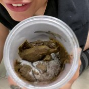 chubbibunni poop jar part 2