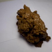 leopard leggings pooping janet