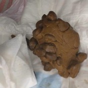 adult baby reveals huge ooopsie poopies in diaper hd poogirlsofia diapergirlsofia