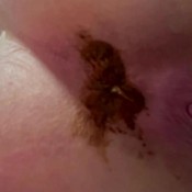 birth of shit hd the fart babes