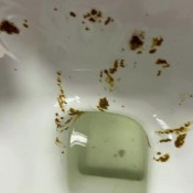 serve me toilet slave hd the fart babes