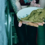 Rhino Disguises Itself With Shit Dirtybetty Sweet Betty Parlour