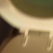 quick pee in toilet close up view sexyscatforyou