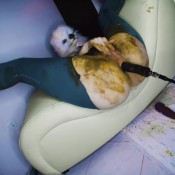 omg! sexy ass furry scat pov dirtybetty sweet betty parlour