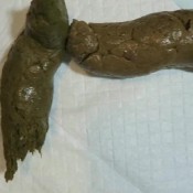 loverachelle2 -birthing earthy shits-