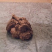 ultra sw33tf33t dirtybetty sweet betty parlour