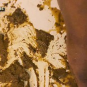 quarantine shit mistressmystique