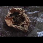 oxanaorangedirtypantypoop The fart babes