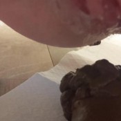 Masturbating On Soft Mess Hd Poogirlsofia DiaperGirlSofia