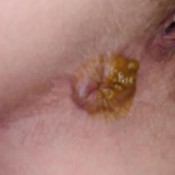 potd firm to almost liquid hd goddesslucy