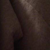 fart compilation!fartcompilation! sexyscatforyou