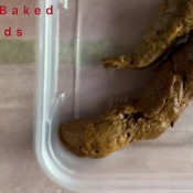 shipped goods video hd marinayam19