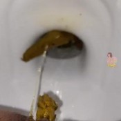 sarcastics3x daily poop- tues 04 jan!