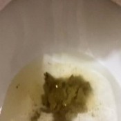 scarletmoon69 scat docs