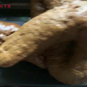 packing while in see through dress hd marinayam19