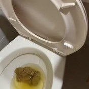 zahia_dirty i poop so big that it clogs the toilet