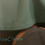 ebony fart scouts free s and le hd gassycocoa