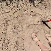 freckledred too much shit