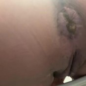 darkscat with all its essence