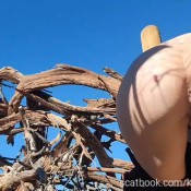 kamasutracandy phat booty serving up fresh meal kamasutra candy