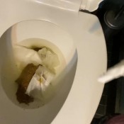 yourfavoritefartgirl well hello