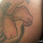 shittykitty21 shitty bounce! --