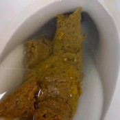 Long Toilet Squatting Shit Brooklyns Bottom Brooklyn Bailey