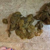 Omg I Shit Myself Pantyhose Explosion Turds And Diarrhea Loverachelle2