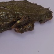 Swallowing For The First Time Princessbabyluna