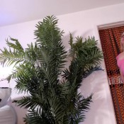 Dirtydaisy Whore Fart Accident Diarrhea 2 Alexxa37