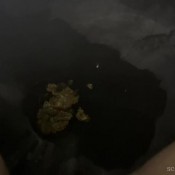 Xyzlilith Mile High Soft Serve Lilith Ivy