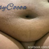 Cocoagotgas 4 Minutes Of Blowing Up The Toilet GassyCocoa