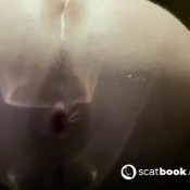 Foxness Pooping A Series _ Episode 21