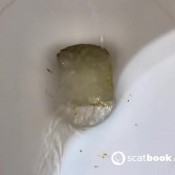 Colorado Shit Series 5 Massive Poops Pulsifer Paprocki