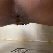 Inkedhousewife Soft Scat