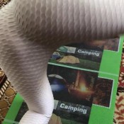 Gym Bunny Amazing Ass Fitness Pants Babe Maria Vais