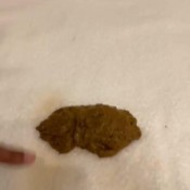 Iamkapri What Goes In Must Come Out Kapri Styles