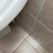 Mistresschristina I Took A Big Shit In The Womens Restroom In Our Dining Room