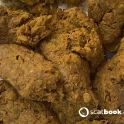 Kazer Joi To My Shit In My Tent