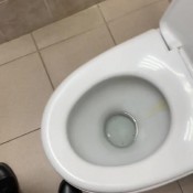 Mistresschristina Sweetly Pooped In The Toilet After Coffee On An Autumn Morning