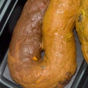 Fall Colors Samantha