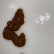 Iamkapri Omg I Shitted In The Shower Kapri Styles