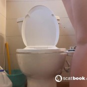 Cherrydream Toilet Flush